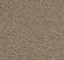 Ковролин AW Stainguard Harvest 34 фото 1 | FLOORDEALER